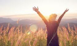 Carefree Happy Woman Enjoying Nature on grass meadow on top of mountain cliff with sunrise. Beauty Girl Outdoor. Freedom concept. Len flare effect. Sunbeams. Enjoyment.